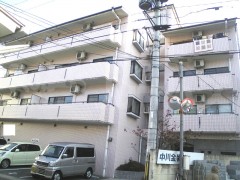 YA2432-011c