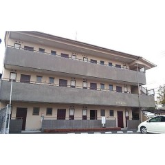 �����ջԡ�1DK