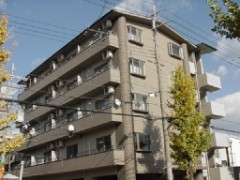 YA4536-017c