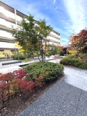 ���Ի������衿3LDK