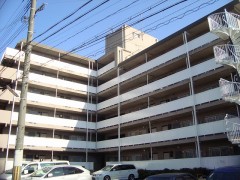 YA5447-041c