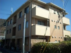 ���ԻԻ��ʶ衿1K